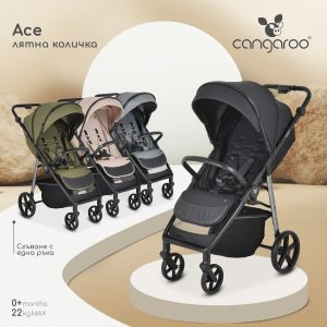 Лятна количкa Ace Cedar-green