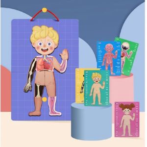 Магнитен пъзел „Човешко тяло“ – Образователен комплект с 90 части