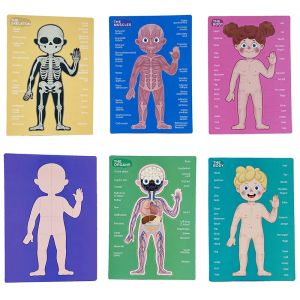 Магнитен пъзел „Човешко тяло“ – Образователен комплект с 90 части