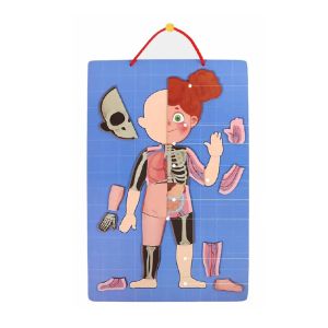 Магнитен пъзел „Човешко тяло“ – Образователен комплект с 90 части