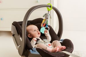 Висулка Striped Dog 81998