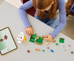 LEGO Minecraft 21585 – Ферма за пилета, 233 части